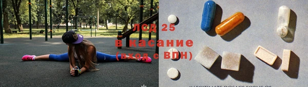 стаф Алексин