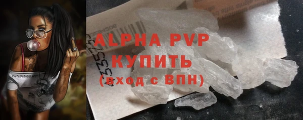 стаф Алексин