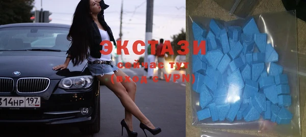 стаф Алексин