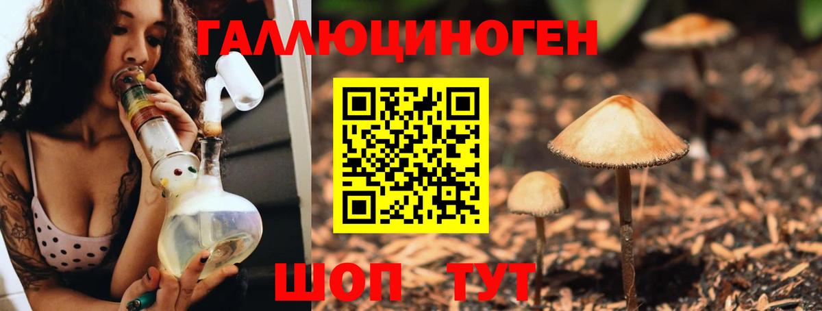 Псилоцибиновые грибы GOLDEN TEACHER Михайловск